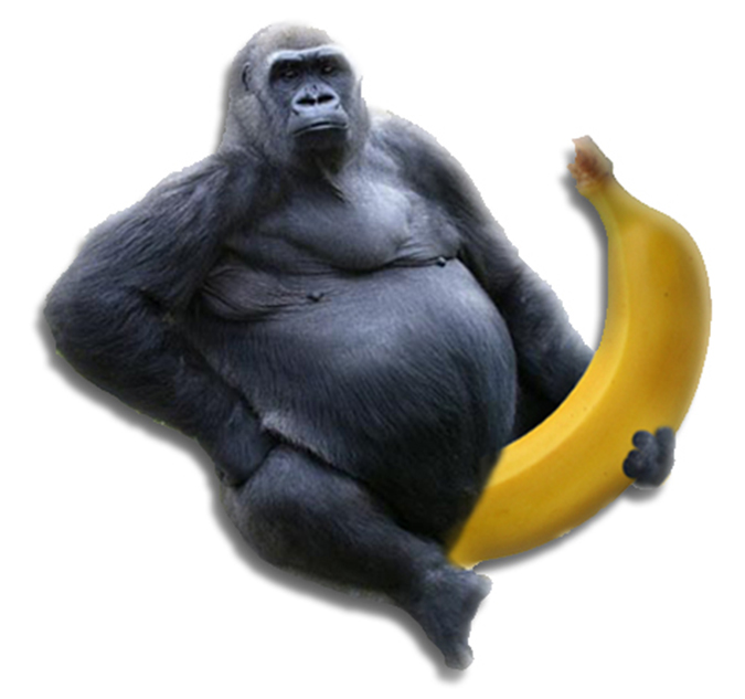 Gorilla with banana - Graffiti Dicks Collection